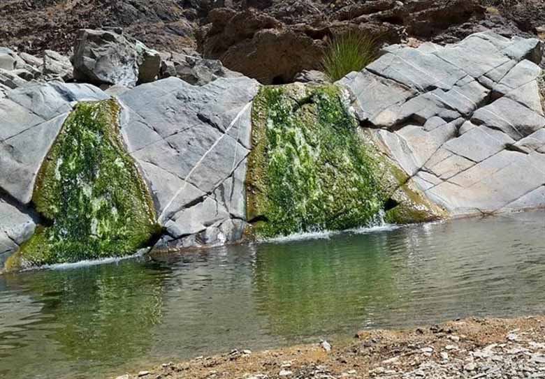 نیکشهر را بهتر بشناسید. - ویرگول