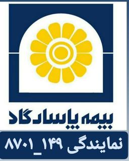 جذب نیروی فعال در بیمه پاسارگاد شعبه بندرعباس
