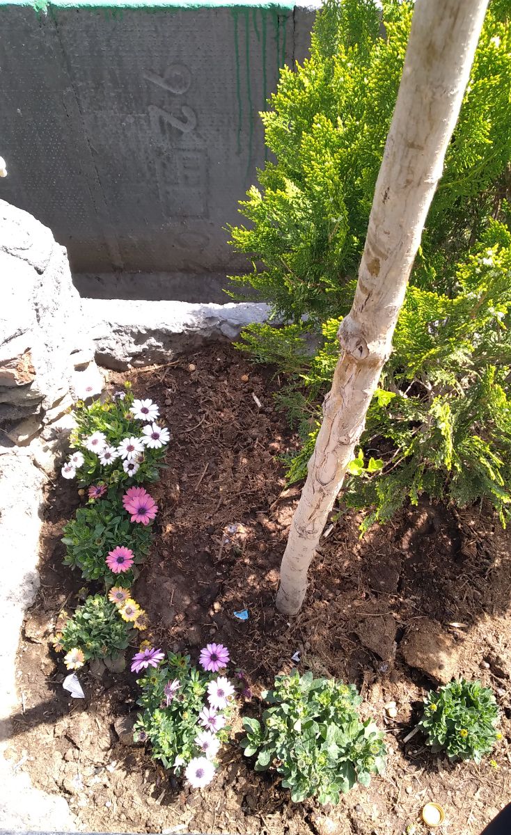 روز قدس با مریم رفتم راهپیمایی. برای اولین بار