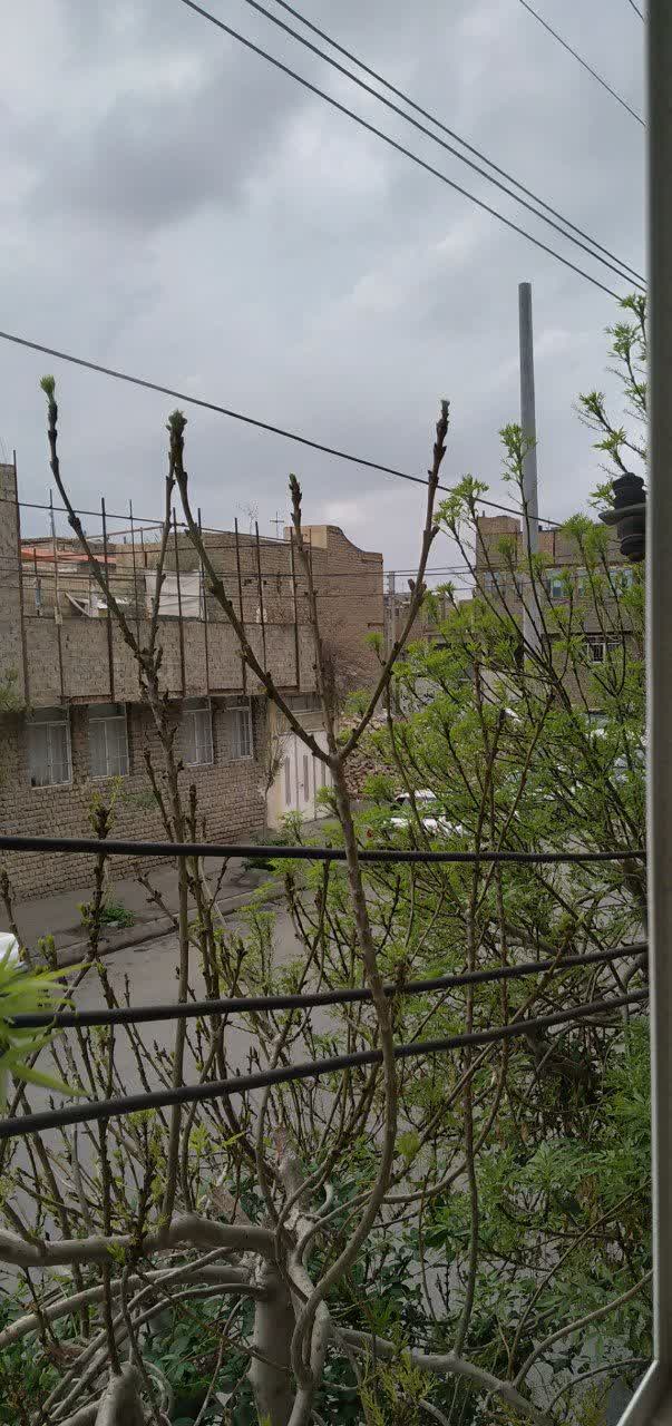 بهار از آنجا که ما میبینیم