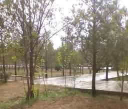 به مناسبت اول مهر، برای دخترک