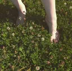 مزرعه‌ی طنین‌ها~✨🌿