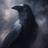 raven