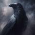 raven
