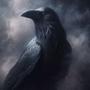 raven