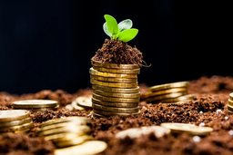 ساز و کار مهاجرت به کانادا با سرمایه گذاری؛ حداقل سرمایه و انواع روش ها