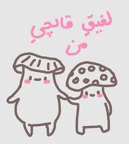 رفیقِ قارچیِ من