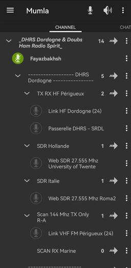 راه اندازی ویس چت/بیسیم!