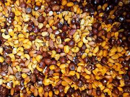 آجیل سرای رهپویان