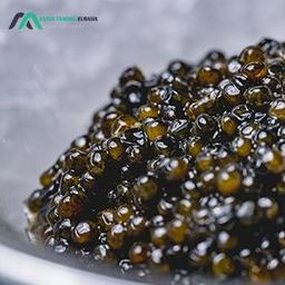 بهترین خاویار صادراتی ایران