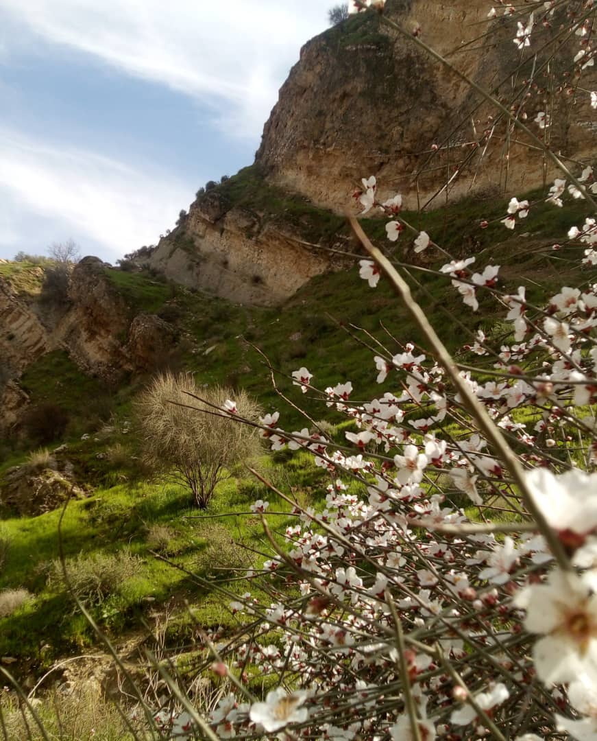 طبیعت کوهستانهای مجاور سایت غیر استاندارد کمارج_بناف