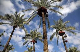 تخریب محیط زیست و طبیعت منطقه خشت و کنارتخته ، کَمارِج و بَناف با ایجاد سایت دفن پسماند