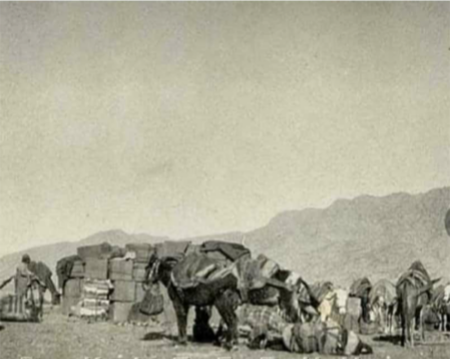 کوه پشت تصویر ، ادامه رشته کوههای زاگرس با نام محلّی ، « کوه مَـهَس»