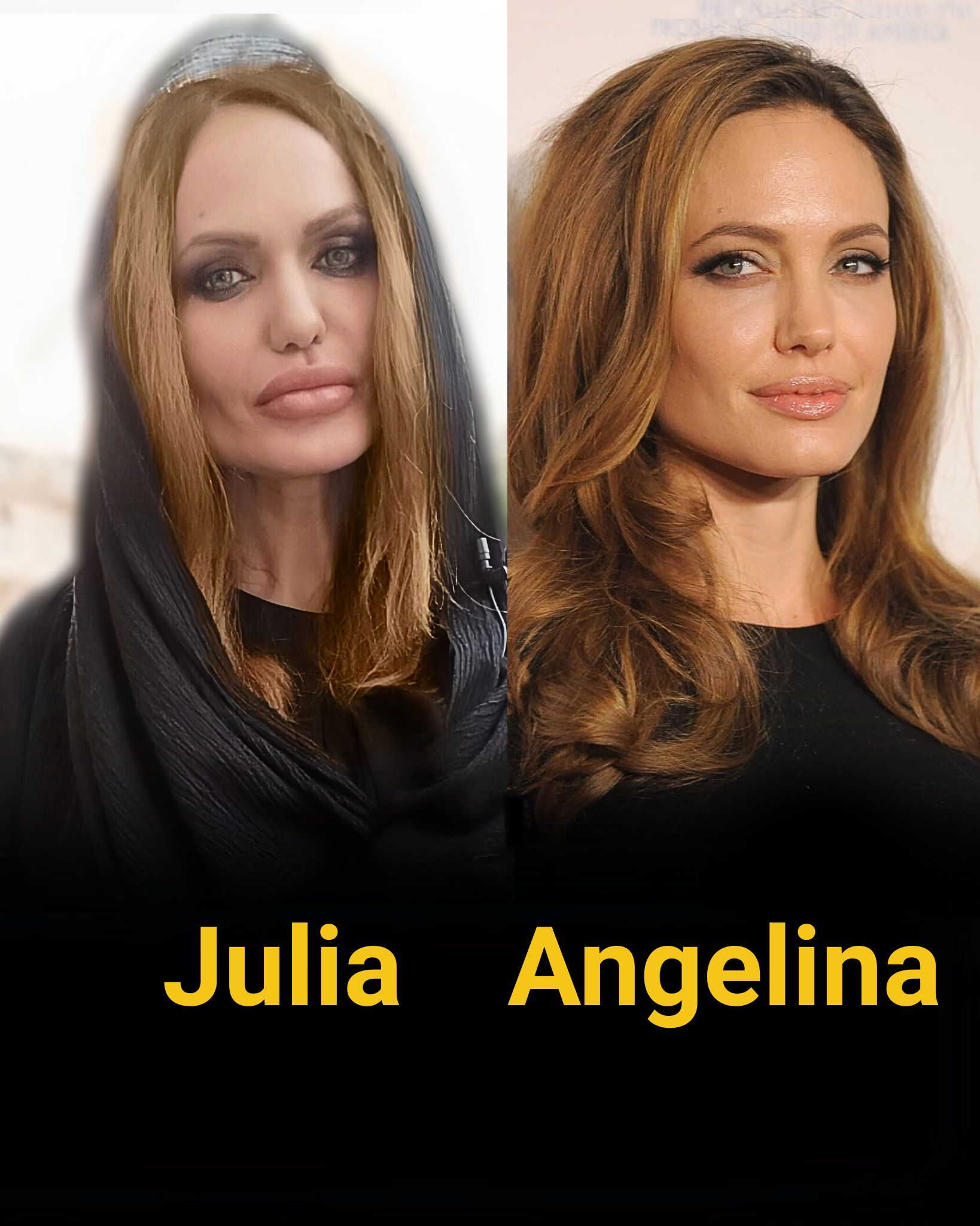 Julia shahbazi Angelina Jolie look alike