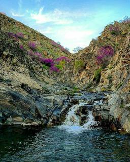 با سفر فرند در دره ارغوان مشهد