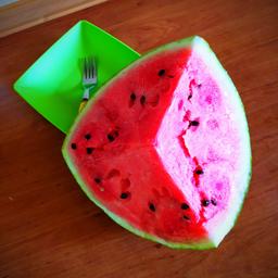 برای هم بیا هندونه گردیم . . .