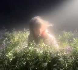 تنها یک تکه سنگ