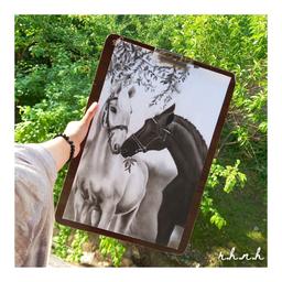 نقاشی سیاه قلم