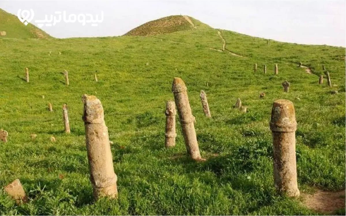 عکس تزئینی است