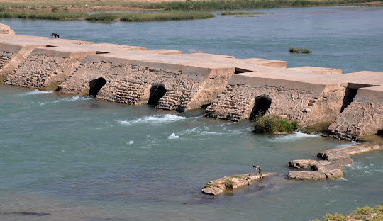 دقیقا" محل اطراق ما