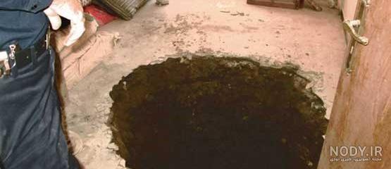 عکس تزئینی است