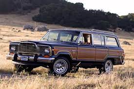 عکس تزئینی است