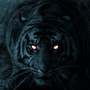 PersianTiger