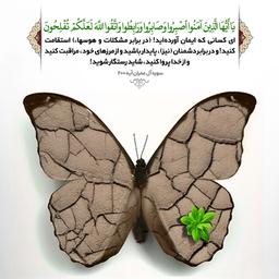 صبر و پایداری عامل همه پیروزی ها!
