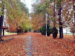 گنجِ میسّر!