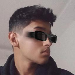 بیوگرافی rezaholy