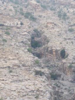 جای دیدنی ابوعلی