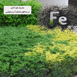 مصرف کود آهن در مناطق مختلف آب و هوایی