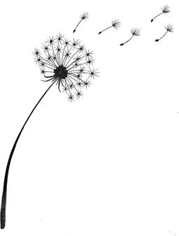 قدر نداشته هامون و بدونیم !!