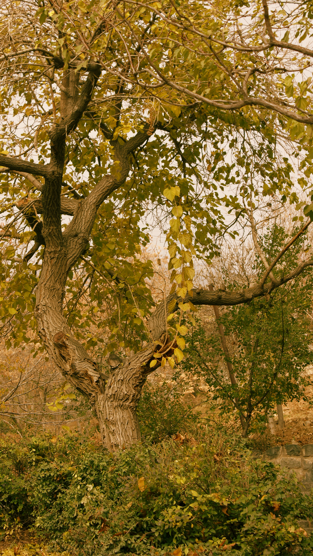 عکسی از میان لنز دوربین من