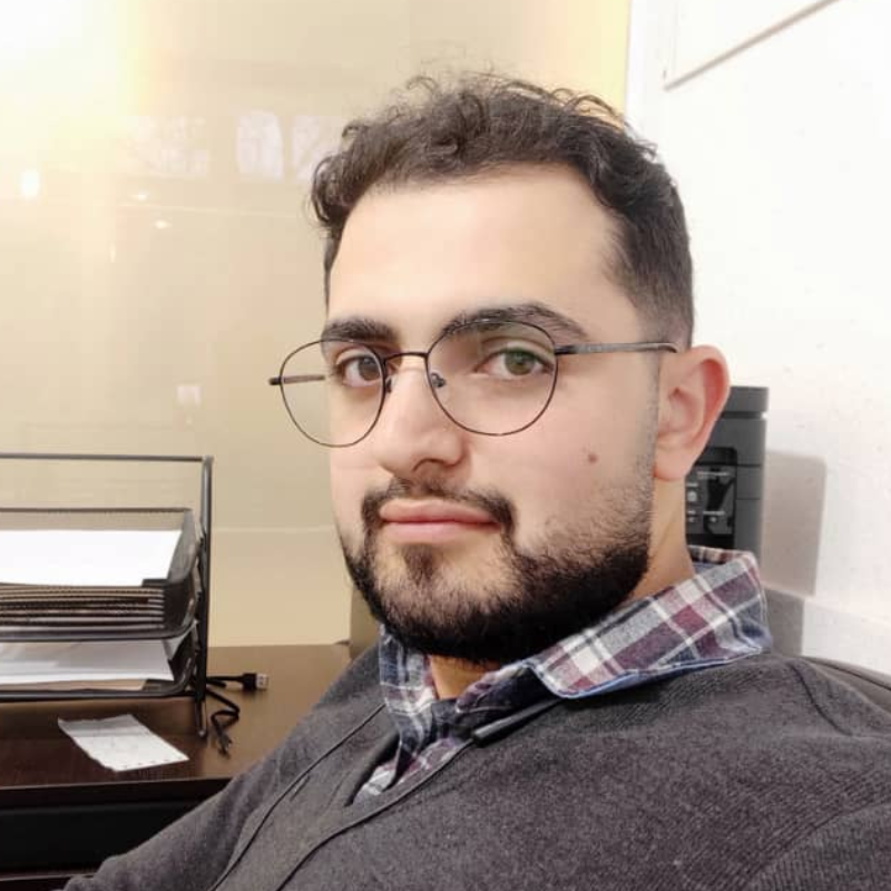 رامین ذبیحی - ویرگول