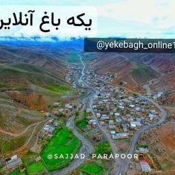 یکه باغ آنلاین