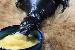 فواید کم‌نظیر روغن حیوانی