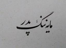 مایه‌ی ننگ پدر...