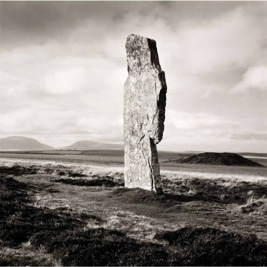 عکس از فِی گادوین