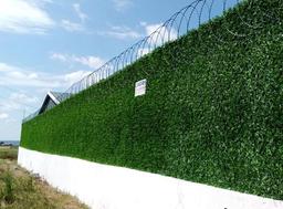 مزایا و معایب فنس چمنی