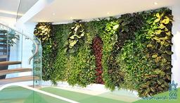 مدل‌های جذاب گرین وال دیواری برای دکوراسیون