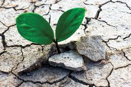 چگونه ورزیده می شویم؟