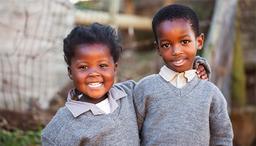 همکاری کنید تا زنده بمانید!