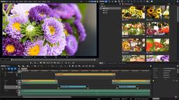 ادیوس برنامه تدوین