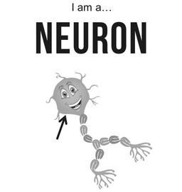 نامه‌ای به نورون استم سلی که هرگز نورون نشد!