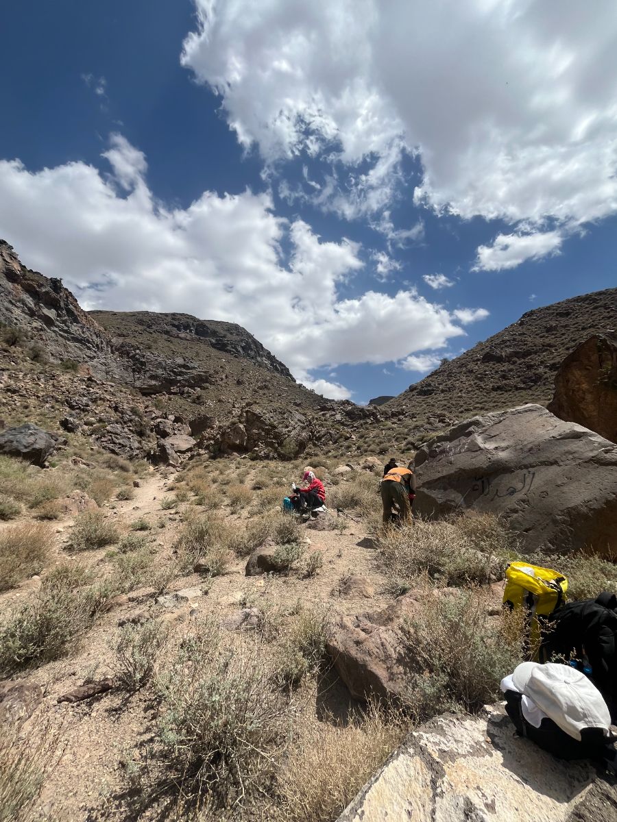 خوردن ناهار
