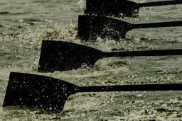 سازمان‌ها؛ نظمی برای «با هم‌ کار کردن»