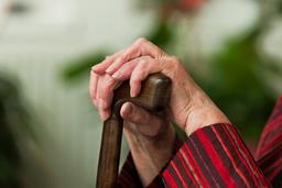 با تغذیه مناسب از پوکی استخوان جلوگیری کنید