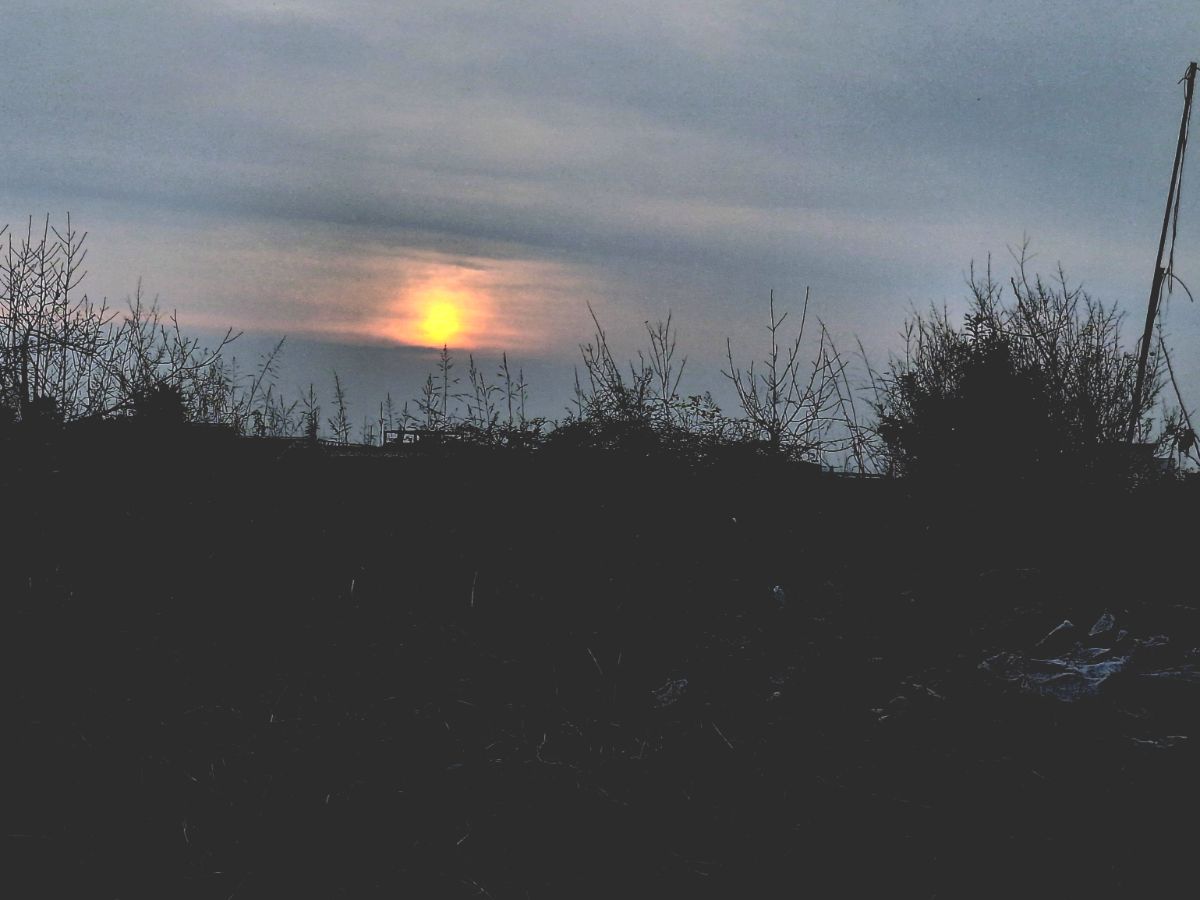 به نظرم اومد میخوره به حال و هوای متن