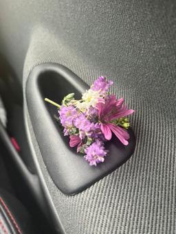 یک ماهی به نام انگیزه ?